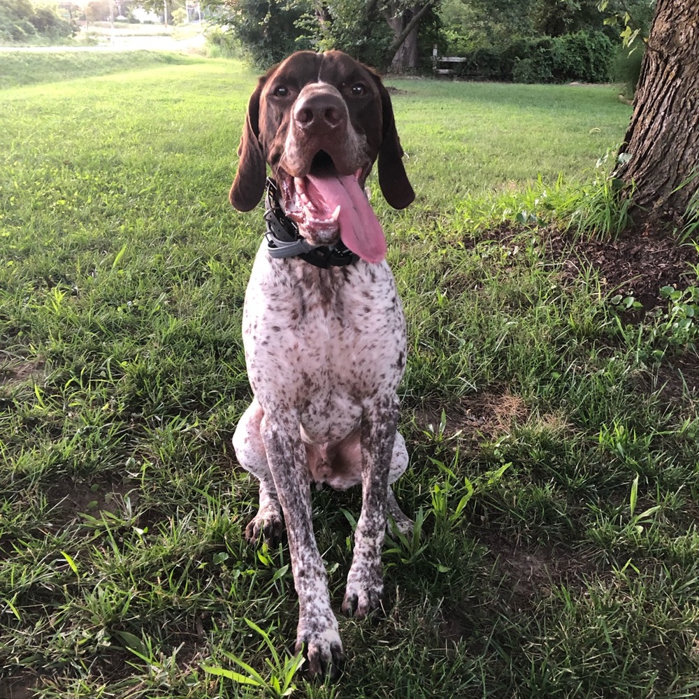 Meet your Posher, Maggie